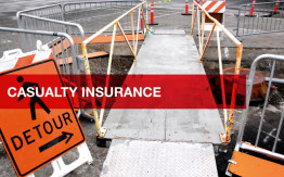 Property and Casualty